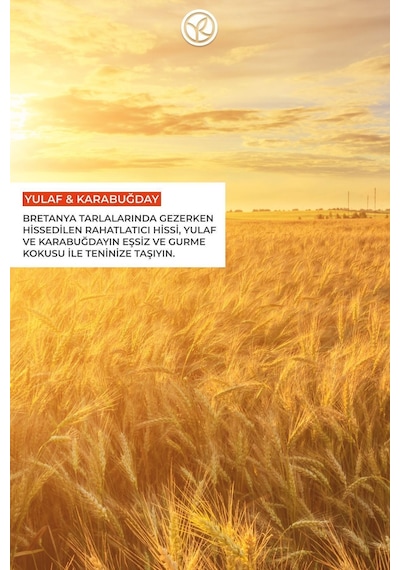 Yulaf Ve Karabuğday Kokulu Nemlendirici Besleyici Rahatlatıcı Vücut Losyonu 390 Ml