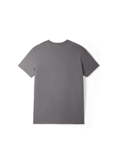 Gsstore Galatasaray 5 Yıldız T-shirt E251352 Antrasit