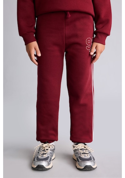 Defacto Jogger Fit Baskılı Beli Bağcıklı Kalın Eşofman Altı Erkek Çocuk I6086a826wnbr248 Bordo-br248