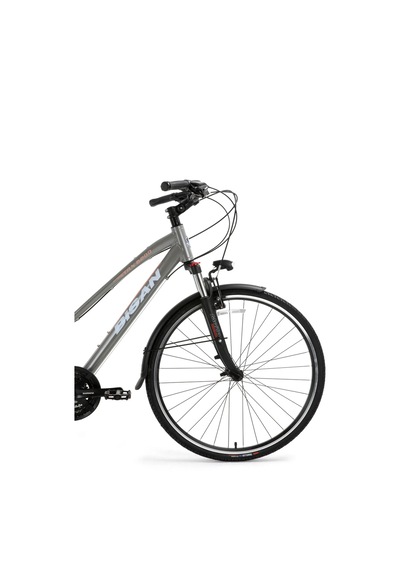 Bisan 8200 City Şehir Bisikleti 45 Cm V 700c 21 Vites Açık Metalik Gri Beyaz Pembe Gri
