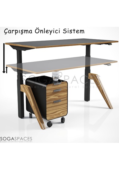 Tr Regula Desk Dandy - Elektrikli Yükseklik Ayarlı Çalışma Masası, Sıradışı Tasarım, Çift Motorlu, Bluetooth Genel Tr Regula Desk Dandy - Elektrikli Yükseklik Ayarlı Çalışma Masası, Sıradışı Tasarım, Çift Motorlu, Bluetooth Genel