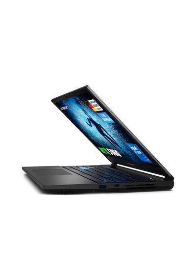 Erazer Deputy 15 P1 MD62761 Core 7 250H 16 GB 1 TB SSD RTX5060 15.6" W11H Dizüstü Bilgisayar