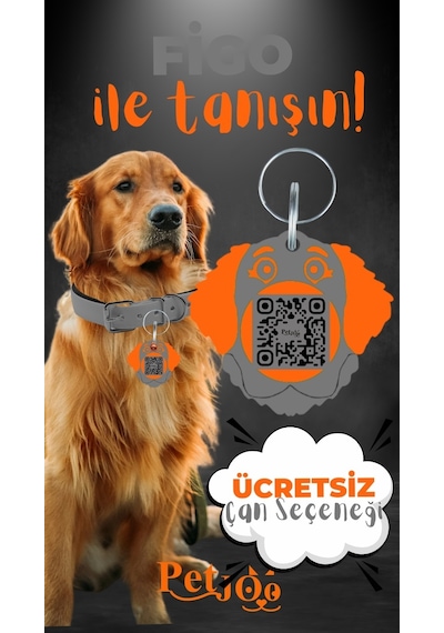 Petjoo 27.Figo Turuncu-Gri Qr'lı Köpek Künyesi