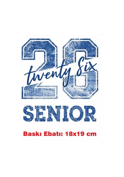 Üniversite Kolej Yazı Temalı Ütü İle Yapışan Tekstil Kumaş Tişört Dtf Baskı 3497