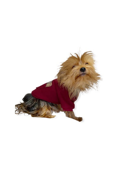 Kemique Bb Limited Kapşonlu Köpek Sweatshirt