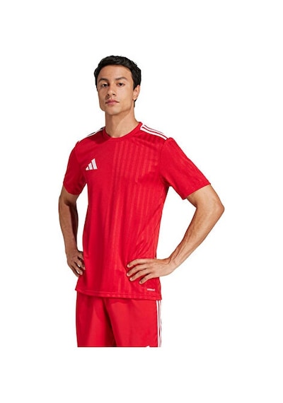 Adidas Campeon25 Jsy M Erkek Futbol Antrenman Forması Jf6058kırmızı Kırmızı