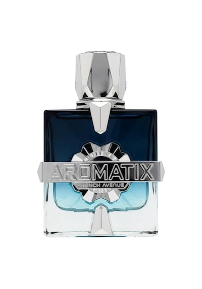 French Avenue Aromatix Frostbite Extrait Edp 100 Ml Erkek Parfüm Aromatik