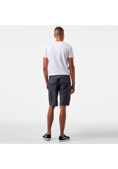 Dickies Millerville Erkek Gri Şortdk0a4xedch01