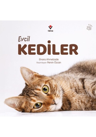 Evcil Kediler - Aıaı-837226