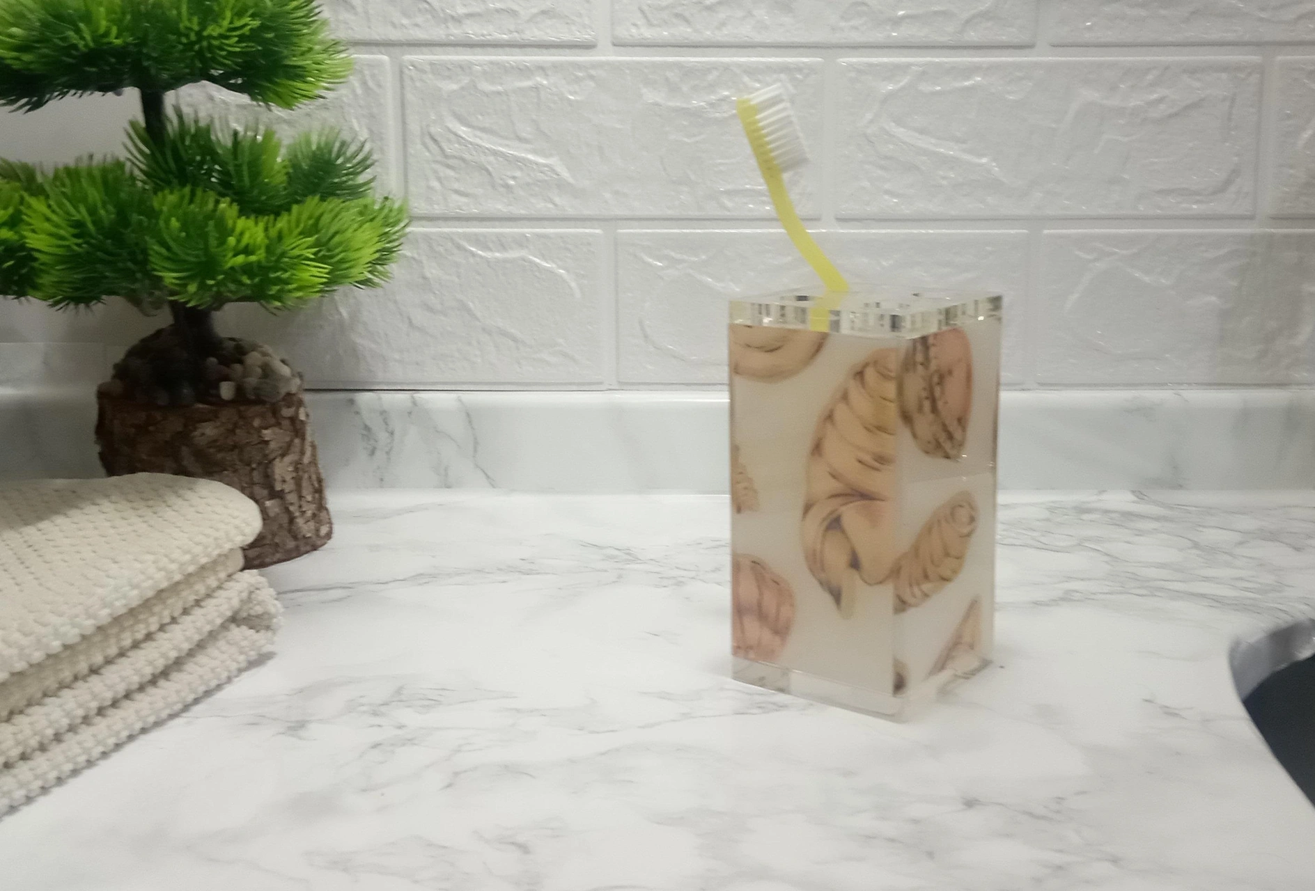 2 Adet Diş Fırçalık İstiridye Akrilik 6x6x12cm Banyo Seti Çok Renkli
