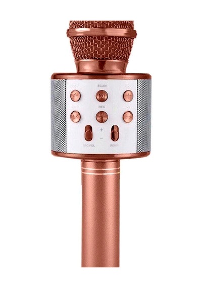 Karaoke Mikrofonlu Hoparlör Bluetooth Şarjlı Rose Gold Eko Ayarlı Usb Sd Bx-316737
