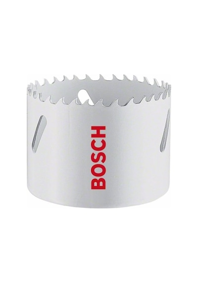 Bosch Professional HSS Bi-Metal Delik Açma Testeresi 17 MM