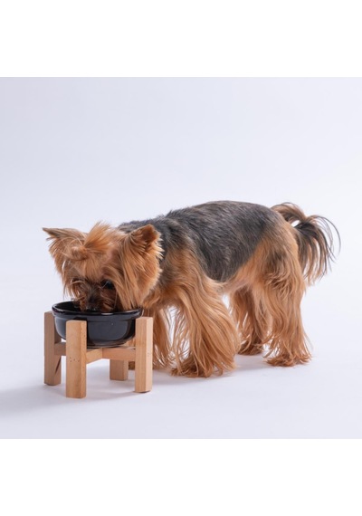 Siyah Ahşap Standlı Seramik Mama/ Su Kabı Kedi Köpek Mama Su Kabı