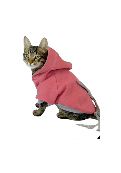 Pinky Rabbit Sweatshirt Kapşonlu Kedi Kıyafeti Kedi Sweatshirt