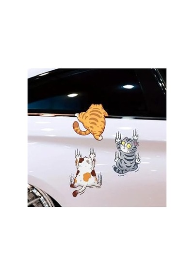 Ayrex Arabaya Tırmanan 3'lü Kedi Sticker Seti Diğer