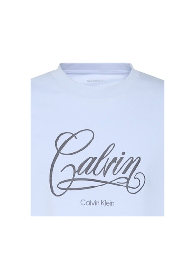 Calvin Klein Erkek Tişört-lv04re804g Purple