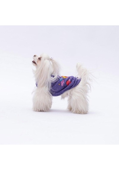 Pawstar Mor Space Time T-shirt Küçük Irk