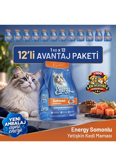 Somonlu Kedi Maması 1 Kg - 12 Adet