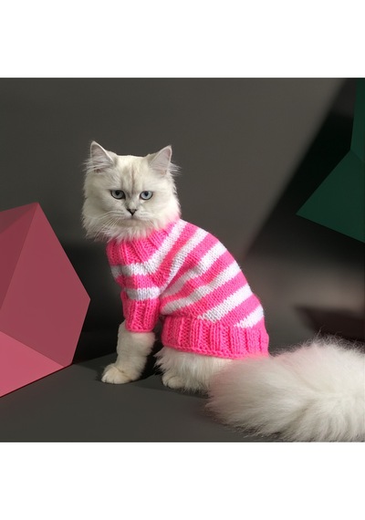 Kedi Ve Köpek İçin Pembe Beyaz Cool Kazak