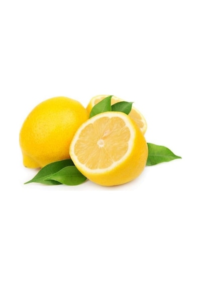 Yediveren Limon Fidanı 2 Adet 3 Yaş Tüplü Ve Aşılı