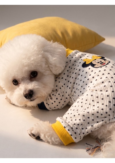 Spotty Sunny Minny Köpek Uyku Seti Siyah Beyaz Puantiyeli Penye Köpek Tulumu Ve Mini Yastık