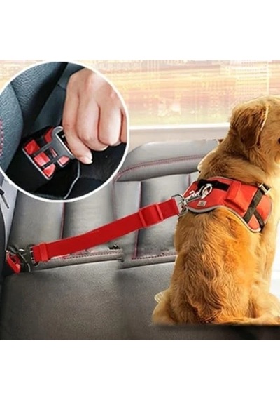 Kedi Ve Köpekler İçin Emniyet Kemeri, Araba Aksesuarı Olarak Kullanım İçin