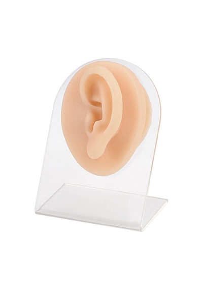 Silikon Sol Kulak Piercing Eğitim Modeli Gerçekçi 3d Kulak Modeli - Standlı