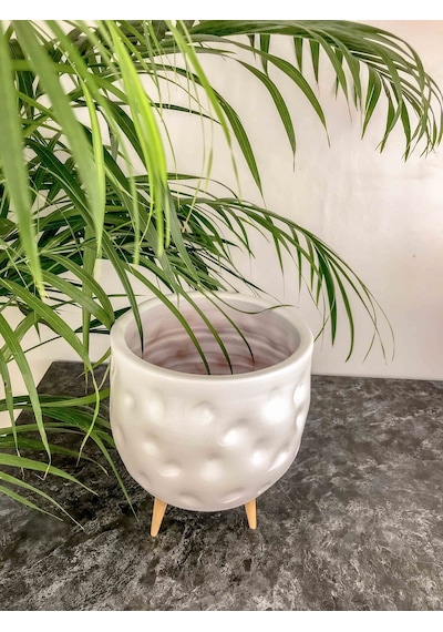 Bitki Tasarım Beyaz Desenli Toprak Saksı 3 Ayaklı 19 Cm