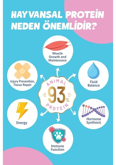 Kitten Yavru Tavuklu Süper Premium Kedi Maması 9 Kg - Hipoalerjenik - Düşük Tahıllı - Yüksek Hayvansal Proteinli