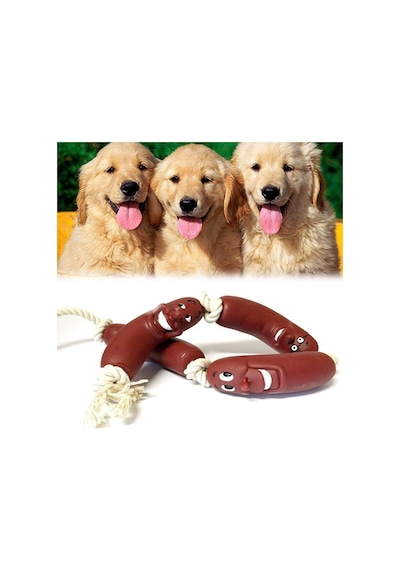 Buffer Köpekler için Sosis 4'lü 48 CM Köpek Oyuncağı