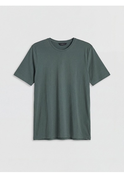 Lcwaıkıkı Classic Yeşil Regular Fit Basic Erkek Dry Touch Tişört