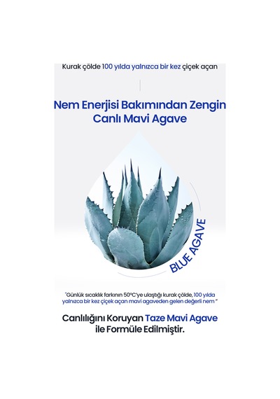 Hyalüronik Asit İçerikli Yoğun Nemlendirici Jel Krem T Else Blue Agave Hyaluronic Acid Cream