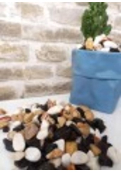 Asenya Renkli Çakıl Taşı 2 Kg 1-2 Cm Saksı Dibi Teraryum Saksı Süs Vazo Dibi Dekoratif Dolomit Taş Diğer