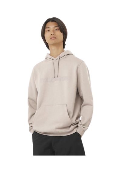 Salomon Salomon Bıg Logo Hoodıe M 55112 Çok Renkli