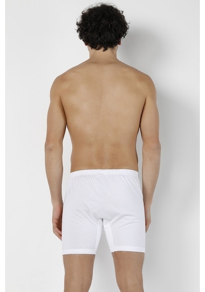 Doremi Erkek Arjantin Boxer 001