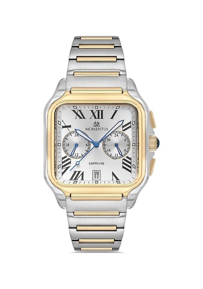 Momentus Men's Time Master Tm348t-02sg Gümüş - Altın