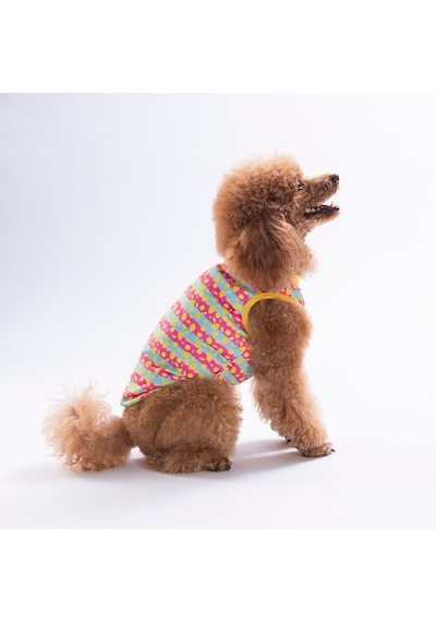 Lemon Party Tişört Kedi Köpek Tişörtü-kedi Köpek Kıyafeti