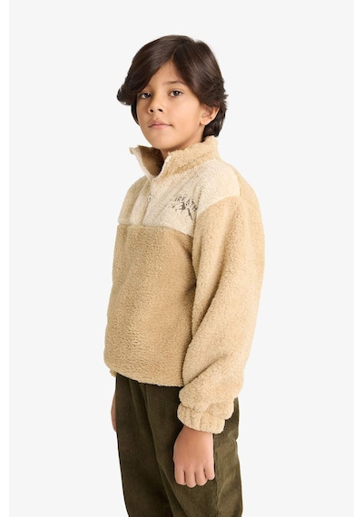 Defacto Erkek Çocuk Fermuarlı Yaka Nakışlı Pelüş Sweatshirt G2946a825wnbg360 Bej