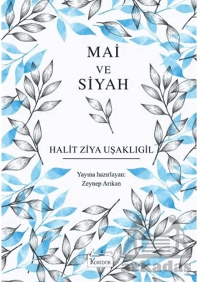 Mai Ve Siyah Koridor Yayıncılık Ciltli