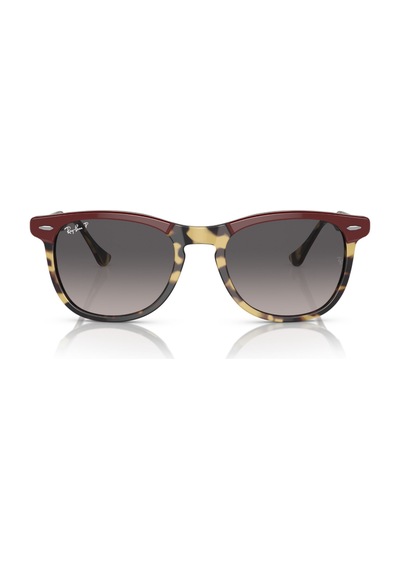 Rb 2398 1377m3 53 Ray-Ban Eagleeye Polarize Güneş Gözlüğü Siyah
