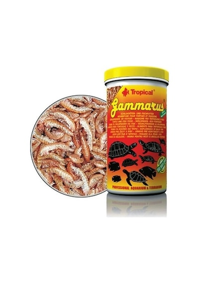 Tropical Gammarus 100 Ml
