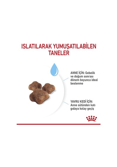 Royal Canin Mother&baby Cat 34 Anne Ve Yavru Kedi Maması 400 Gr