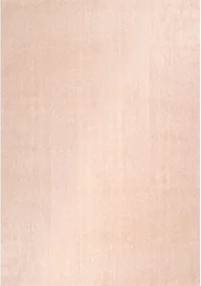 Poly Peluş Halı-bej- Salon-mutfak-antre-oturma Odası-yumuşak-kaymaz Taban-yıkanabilir Modern