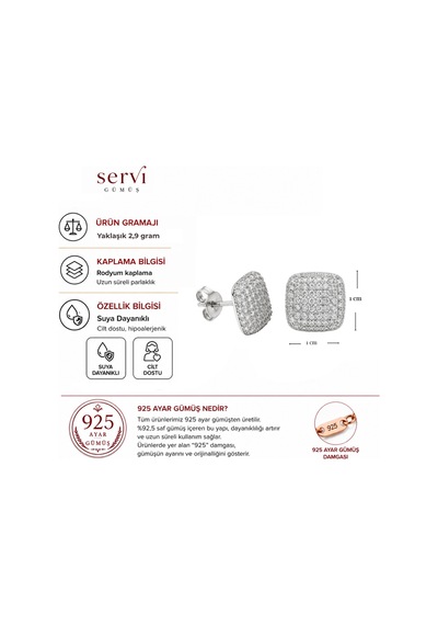 Servi 925 Ayar Gümüş Kare Formlu Zirkon Taşlı Küpe-327