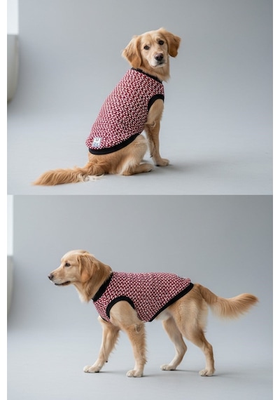 Miniş Bordo Kolsuz Küçük Irk Köpek Trikosu Büyük Kalıplıdır -21631
