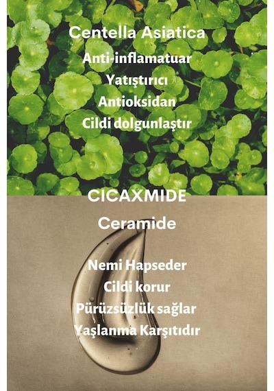 Dermal Cıca x Mide Cleanser Oil Centella Asiatica ve Seramid Özlü Temizleme Yağı 150 ML