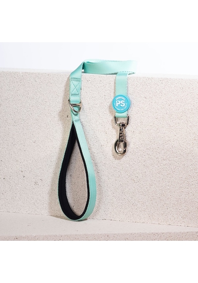 Pawstar L09 Mint Sevk Kayışı Çok Renkli