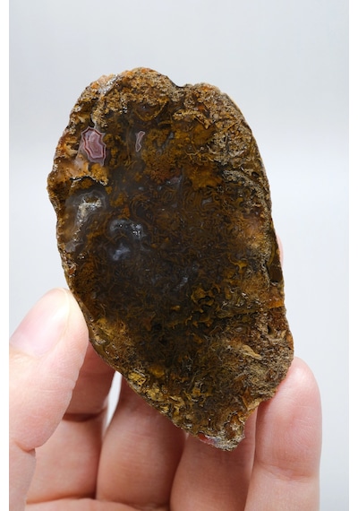 Süslü Altın Oker Ve Bronz Tüy Siyah Deniz Akik Taşı İle Yumuşak Pembe Surlar