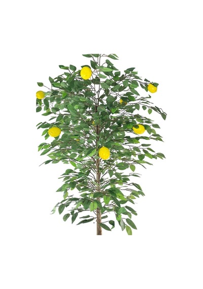 Yapay Limon Ağacı 160cm 10 Limonlu Doğal Görünümlü Beyaz Küre Plastik Saksılı Yapay Ağaç Sarı