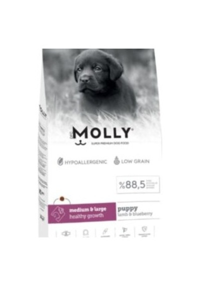 Molly Medium Large Puppy Kuzu Etli Yaban Mersinli Yavru Köpek Maması 2 KG